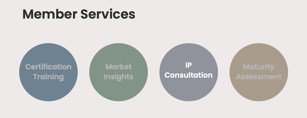 MIH IP Consultation Service